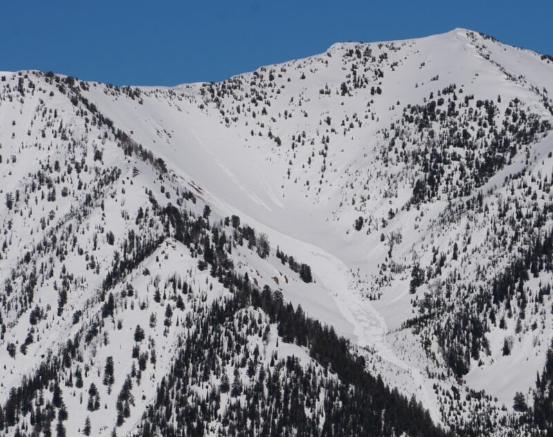 Very large wet slab avalanche in the E Fork of Gladiator Ck. S aspect near 9900'. 