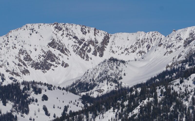 Many natural wet loose avalanches in the Pole Ck drainage. W-SW aspects near 10,000'. 