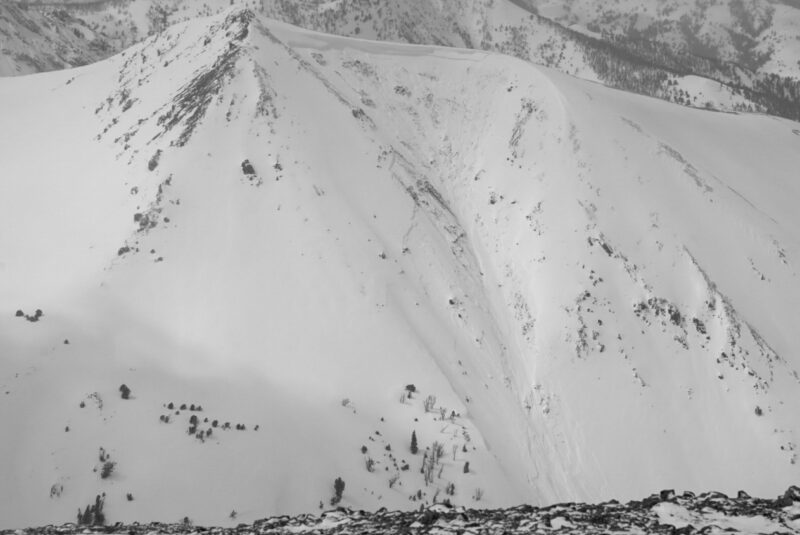 This impressive deep persistent slab avalanche released naturally on April 1st in alpine terrain in the Pioneer Mtns (NE-E-SE, 10,900) in the Left Fork of Fall Ck drainage. Notice the height of the crown in relation to the trees. Photo: Tristan Pettigrew
