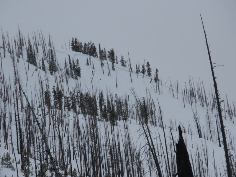 This large avalanche was remotely triggered by skiers on the low angle ridge above in the Banner Summit area. It failed 2+ feet deep, 1,000' wide, and ran downslope nearly 1,000' to the end of its historic runout, putting debris in the creek bottom below. It failed on a NE-facing slope at 8,000' on a 2-3cm thick melt-freeze crusts with facets on top. 