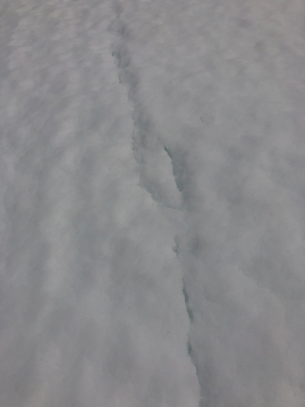 Small almost glide cracks along the whole ridgeline