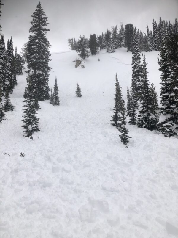 This avalanche was remotely triggered by two snowmobilers from a meadow 50 yds to the side of the slope. The slide broke over 1,000' wide and 2' deep. 

Thatcher Ck, near Copper Mtn. E and SE aspects around 8,500'.

This is the right side of the crown.