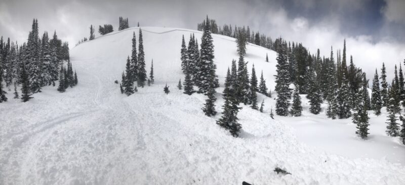 This avalanche was remotely triggered by two snowmobilers from a meadow 50 yds to the side of the slope. The slide broke over 1,000' wide and 2' deep. 

Thatcher Ck, near Copper Mtn. E and SE aspects around 8,500'. 