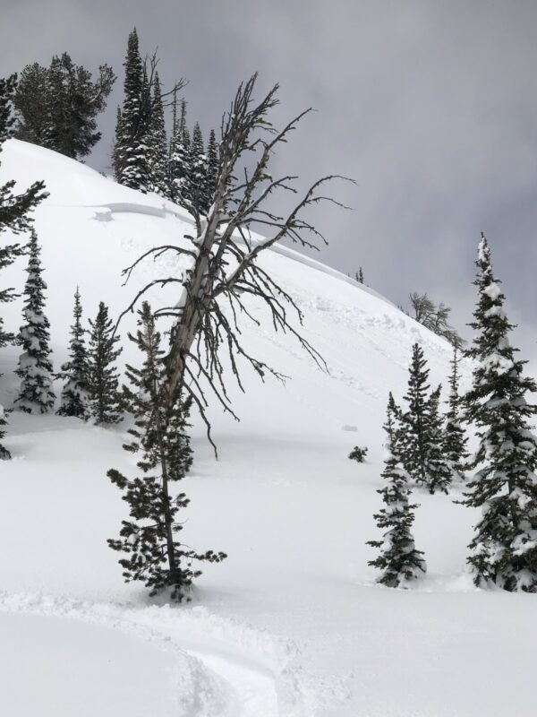 This avalanche was remotely triggered by two snowmobilers from a meadow 50 yds to the side of the slope. The slide broke over 1,000' wide and 2' deep. 

Thatcher Ck, near Copper Mtn. E and SE aspects around 8,500'. 

This photo was taken from the approximate trigger location. 